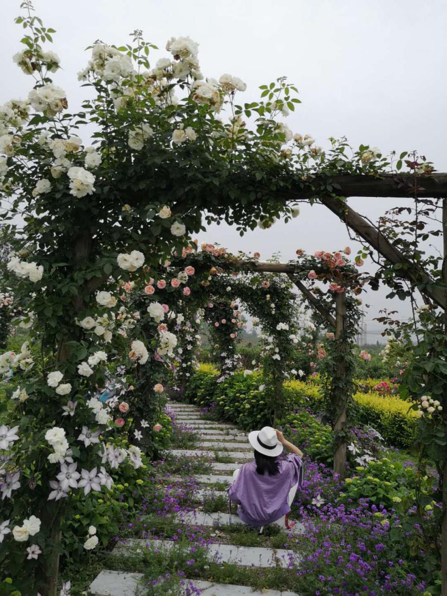 成都周边田园旅游攻略,成都冬季最理想的旅游线路