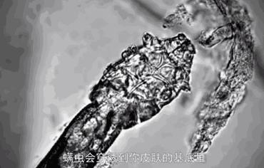 明星亲测有效的护肤品,明星亲测