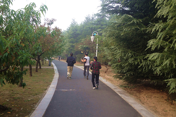 国家体育总局健身指南,国家体育锻炼标准2016版