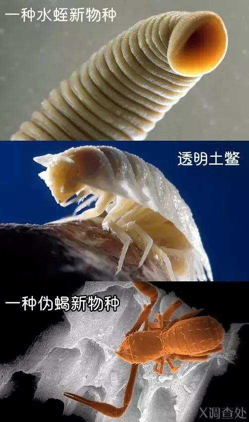 世界凶杀案未解之谜,世界未解之谜秦始皇