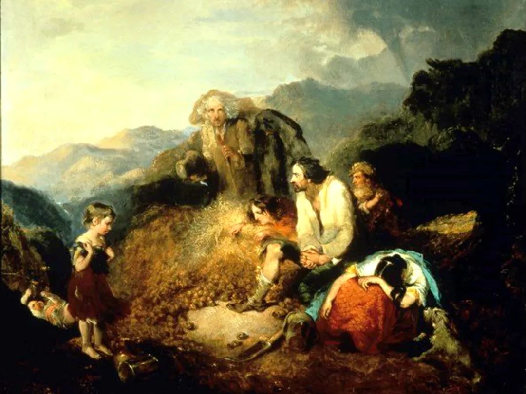 爱尔兰饥荒死亡原因,爱尔兰饥荒死亡多少