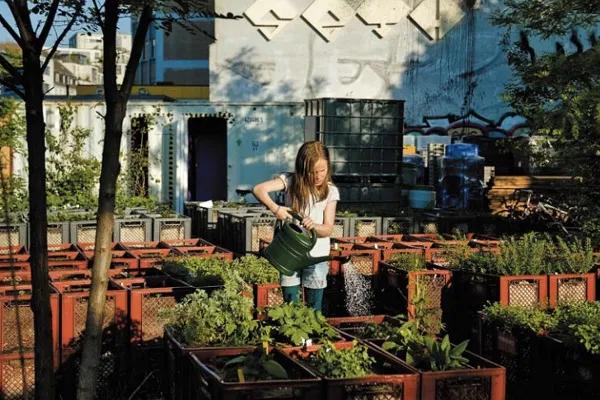 农庄餐饮怎么经营赚钱,怎么经营农家乐卖菜生意