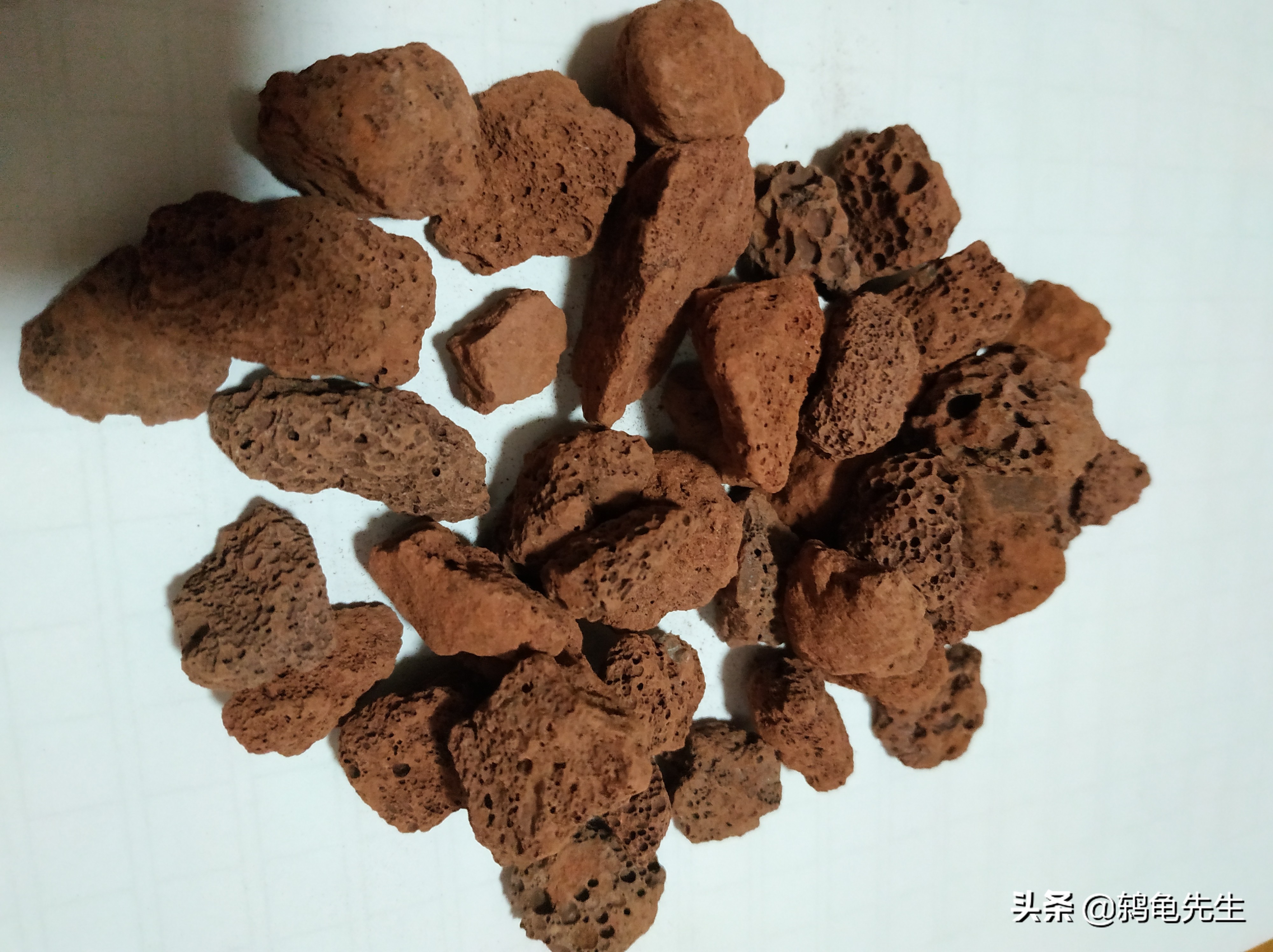 养水先养草,鱼缸里养水草好处多多,小鱼儿告诉您应该如何养水草