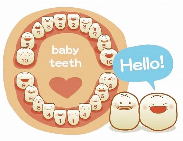 鍧忎簡涓や釜澶х墮,鍧忎簡涓ら闂ㄧ墮