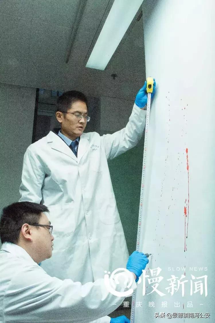 法医悬疑系列电影,10部好看的法医悬疑电影