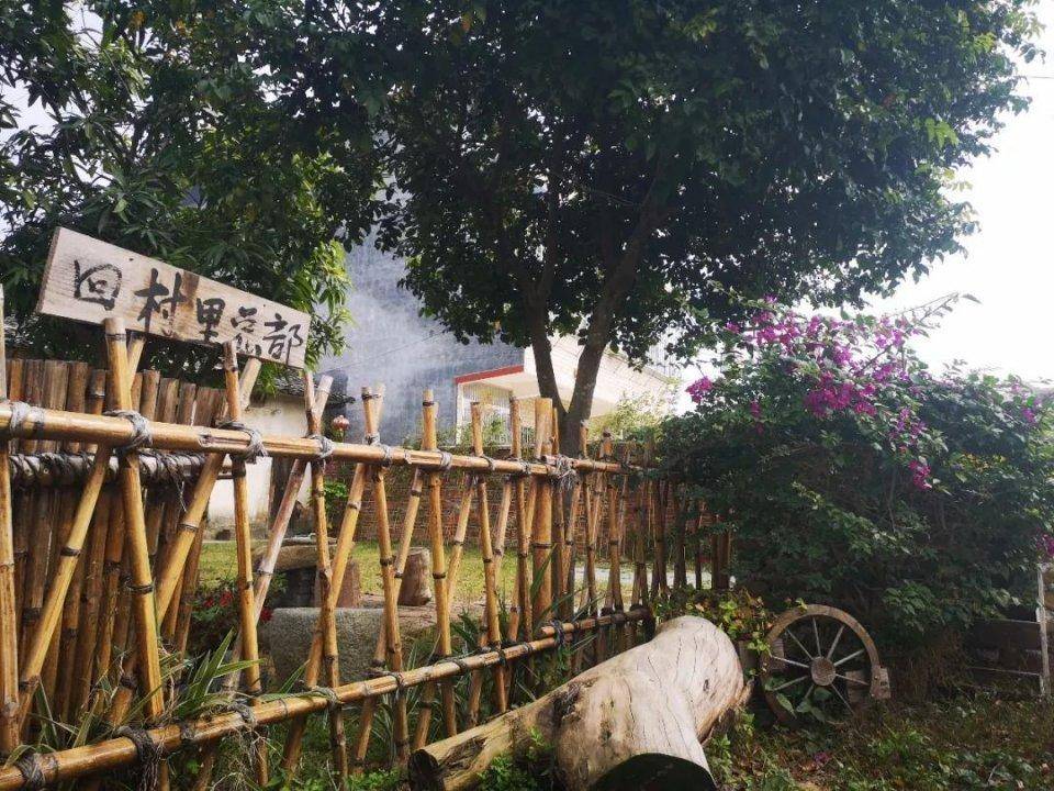 碧桂园产业精准扶贫成功案例,碧桂园扶贫经验分享