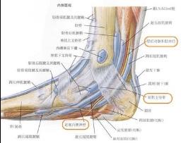 脚后跟部痒水肿,脚后跟酸胀刺痛
