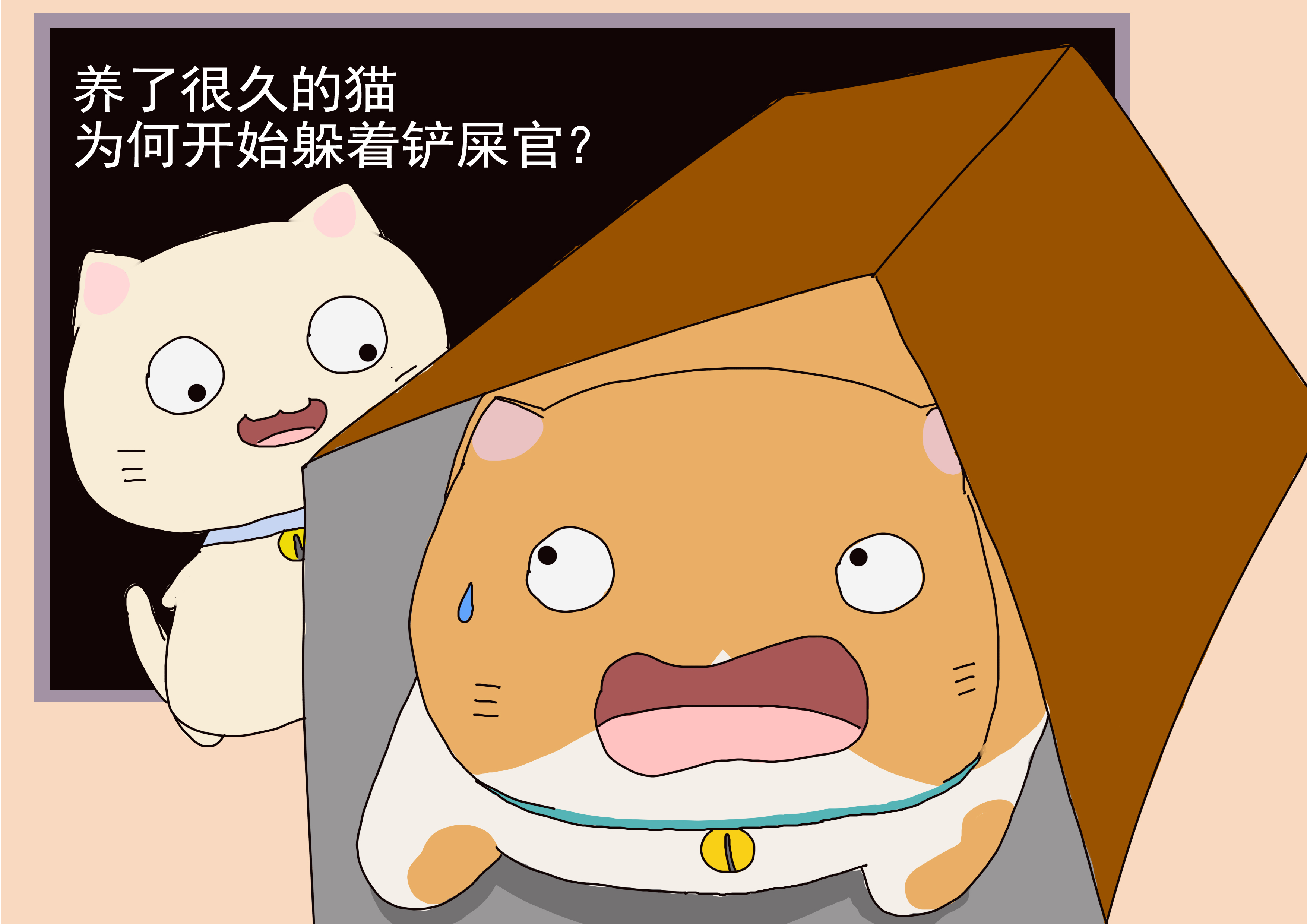 长期养的猫躲起来几天才出来,长时间养的猫为什么不回家了