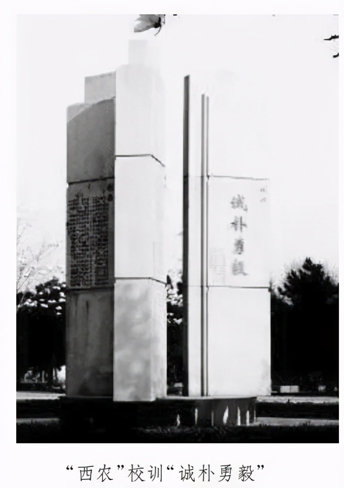 中国最好的西北大学,西北大学的实力究竟如何