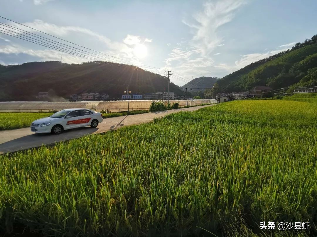 沙县总共有几个乡镇,沙县是属于哪个市