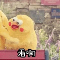 一个证过期竟能影响小孩读书？赶紧自查