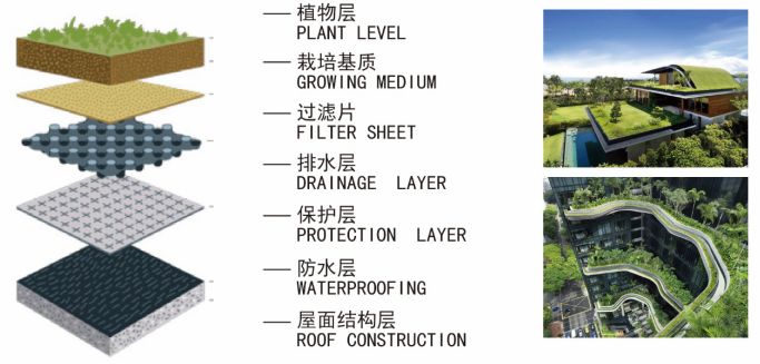 龙翔小学项目,深圳民治小学建设情况