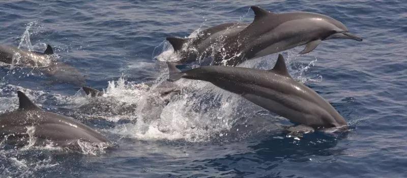 斯里兰卡的风景,风景优美而且物价便宜