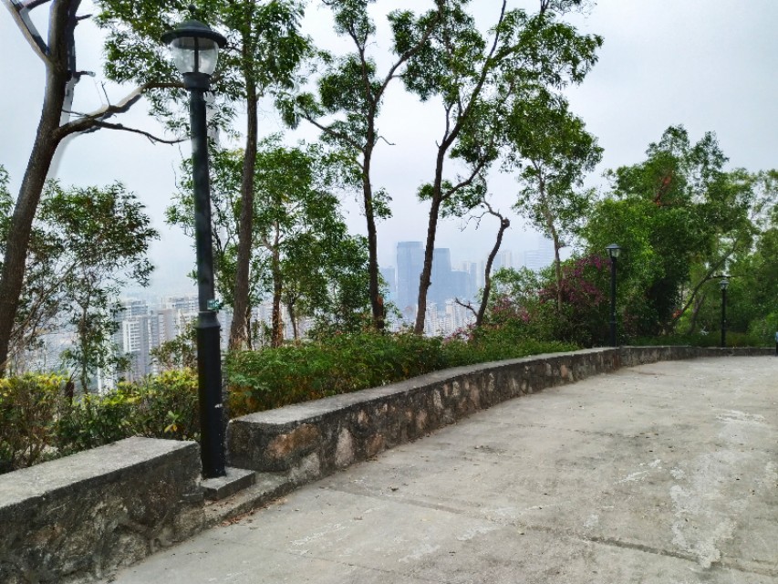 周日跟随珠海户外网板樟山游记