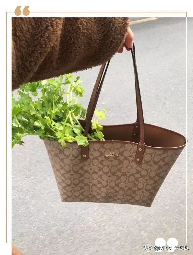 颜值高还实用的大牌包推荐,大牌入门款包平价