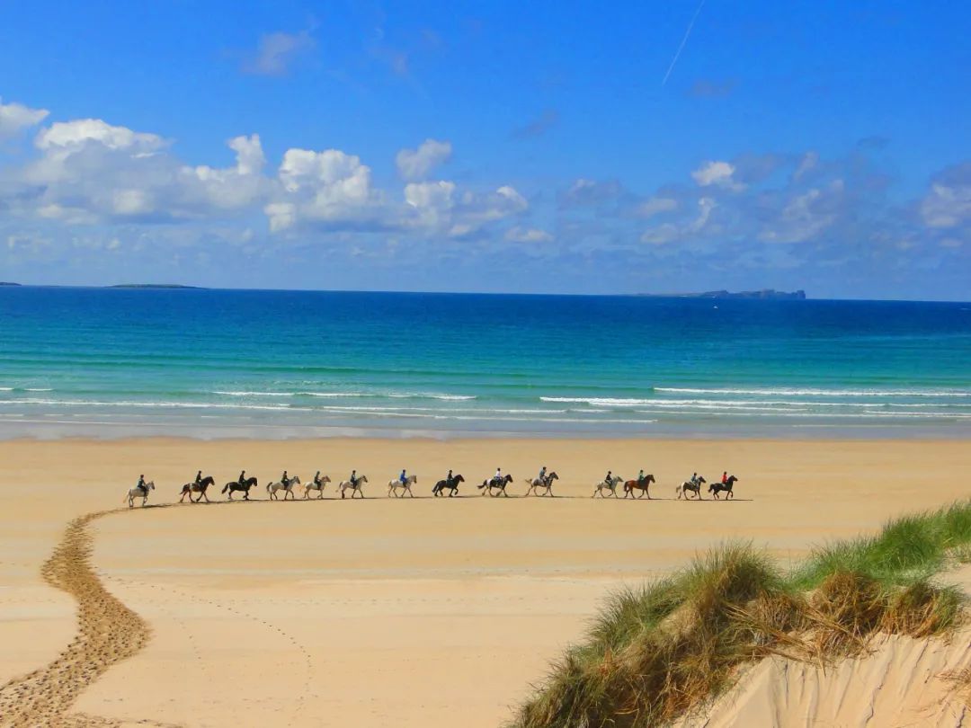 凯特王妃穿一身绿，让她放飞自我的岛国居然比重庆市还小