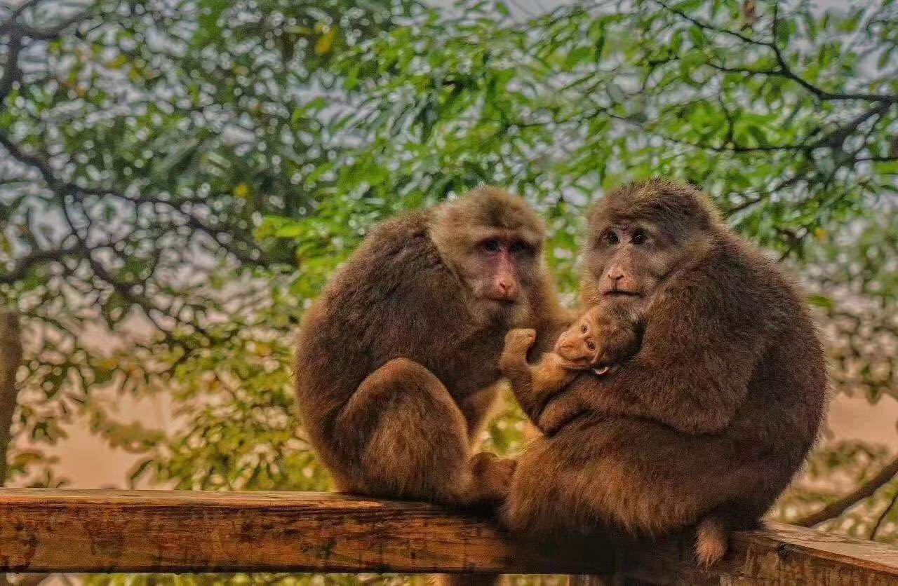 征服男人的终极必杀技,怎样征服男人的法宝