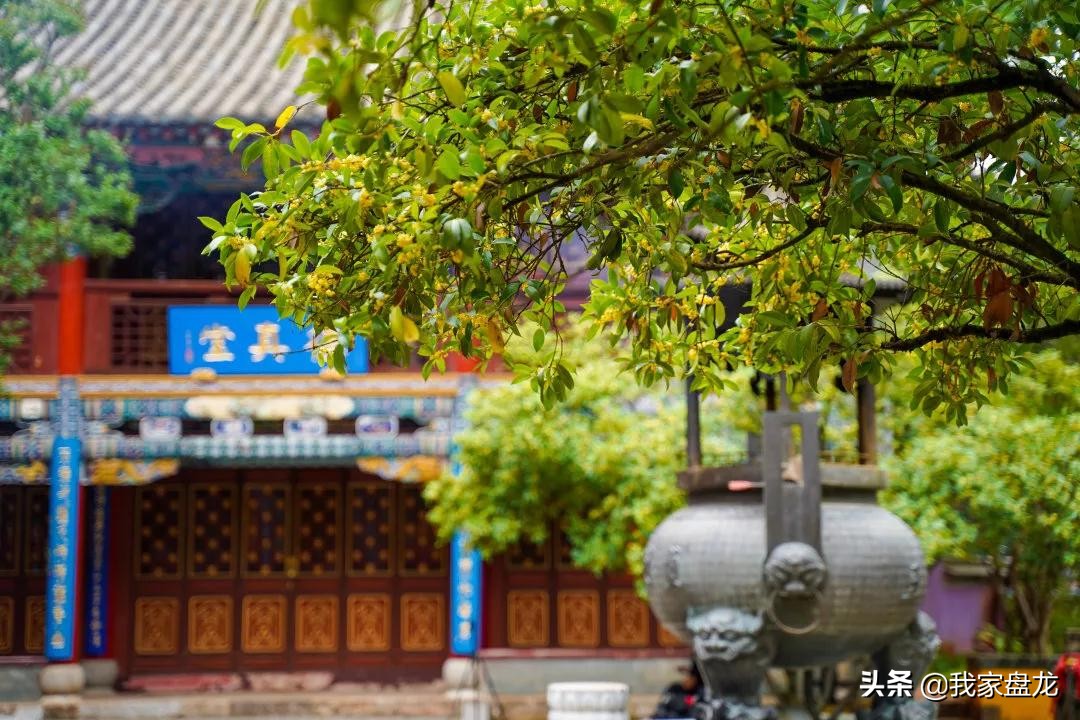 在盘龙的桂花香里，亲吻这个秋天|黑龙潭公园美图大赏