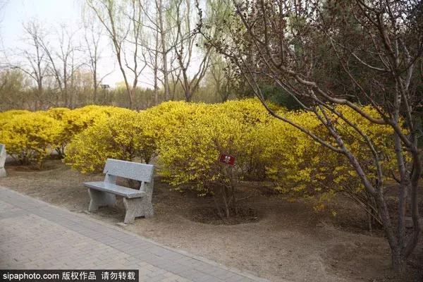 北京古塔公园推荐,北京最良心的古寺免费景点