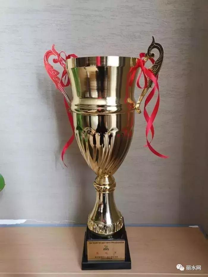 丽水足球夺冠,浙江丽水足球比赛