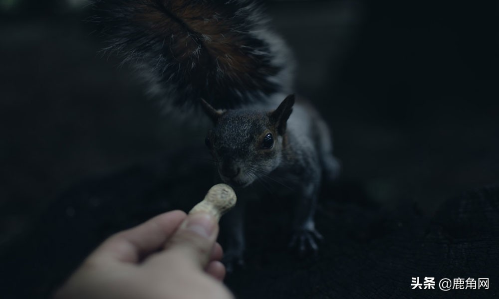 为什么会总是感觉尿急,为什么会尿急