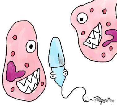 精子的十三种死法