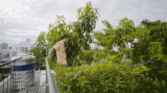 他花150万造零消耗的家，不开空调和网络：家人互动，不该隔着网