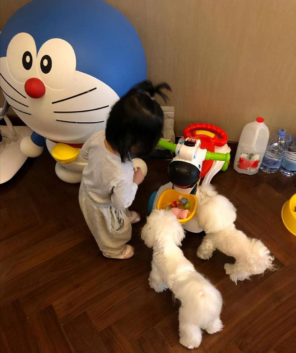 陈赫怎么这么有钱,陈赫在娱乐圈的地位有多高