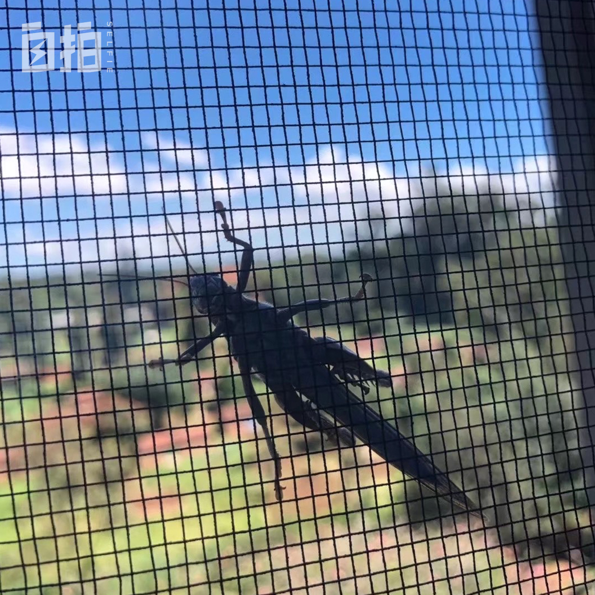 我，女大学生，一毕业就被派去非洲，每年15万工资，现在想回国