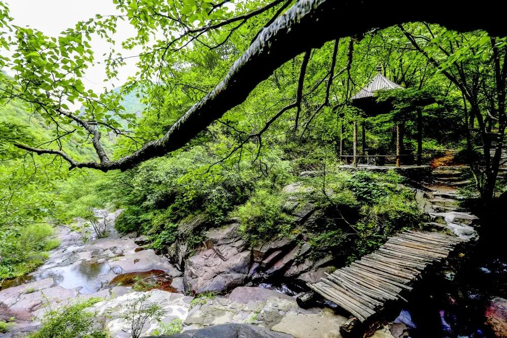 灏忎節瀵ㄥ弻榫欏场,浜タ灏忎節瀵ㄥ弻榫欏场