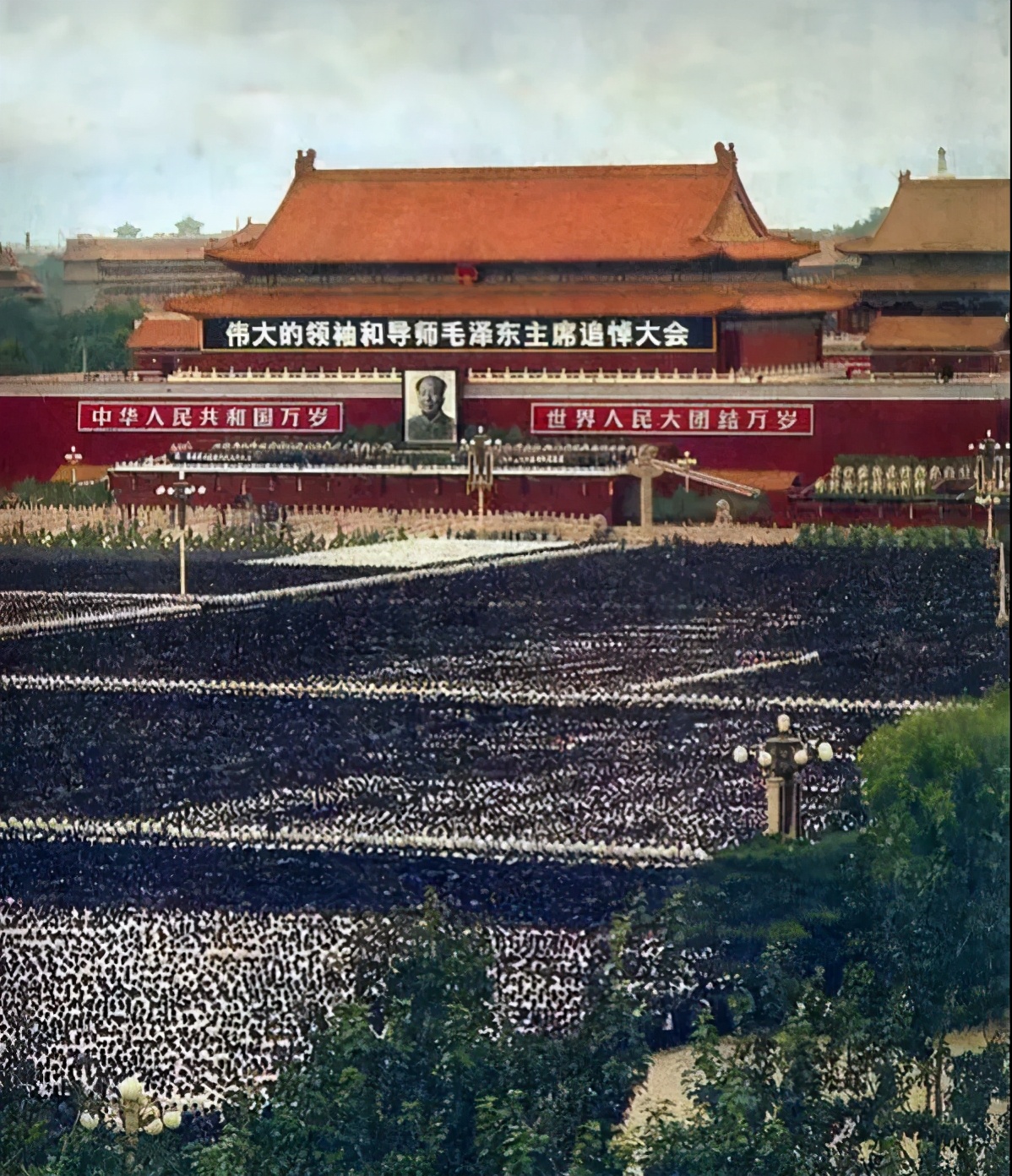 毛主席逝世对世界其他国家有什么影响？朝鲜为此停止一切文娱活动