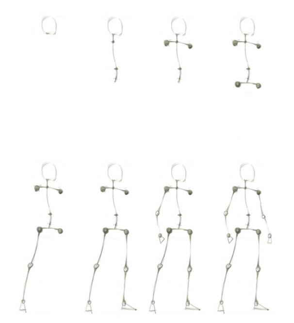 人体板绘入门基础知识,新手板绘自学入门教程