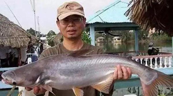 南宁市钓鲤鱼高手,南宁知名钓鱼大师