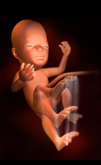 7个月的孕妈妈需要注意什么,7个月大的宝宝有哪些本领