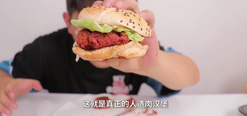 西瓜视频人造肉测评,西瓜视频创作人太空记