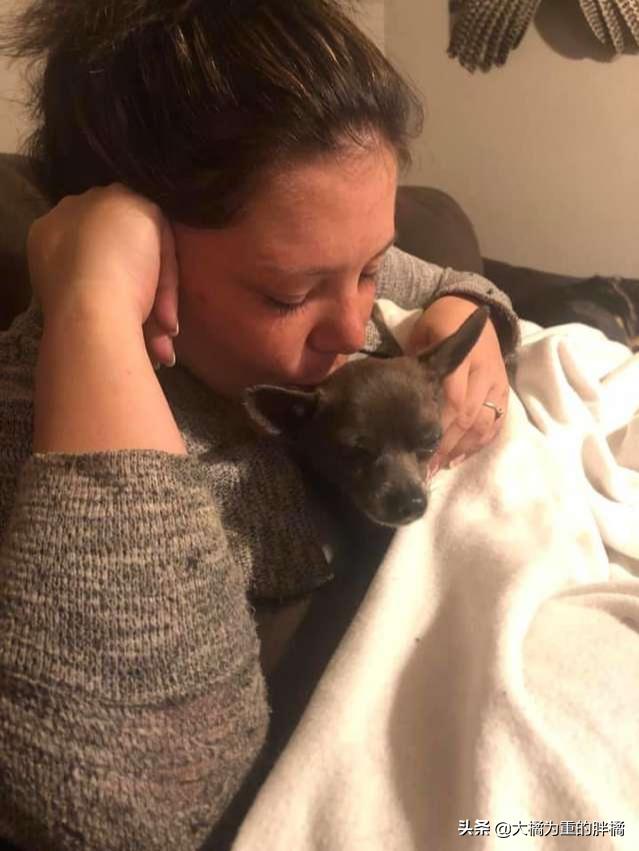 小狗肋骨断了后趴在路上不能移动，夫妻下车救助它，如今备受宠爱