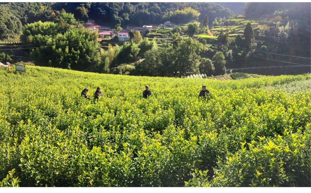 缙云旅游景点拍照攻略,缙云景区拍照攻略视频