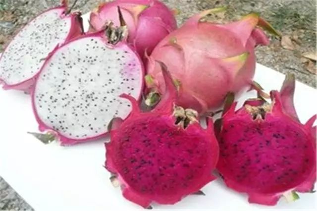 饮水机里的水有异味怎么办,饮水机时间长了有塑料味怎样去味