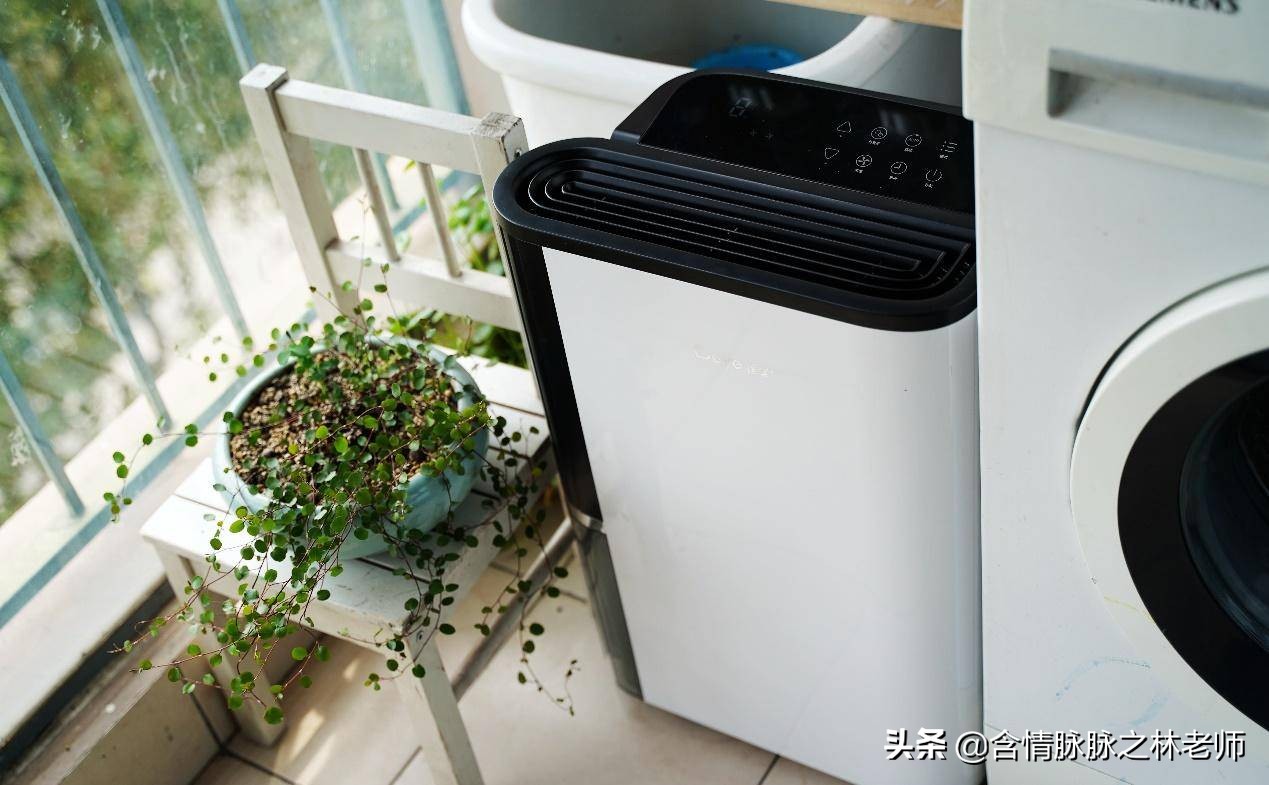 家里潮湿抽湿机,下雨家里潮湿用什么除湿机