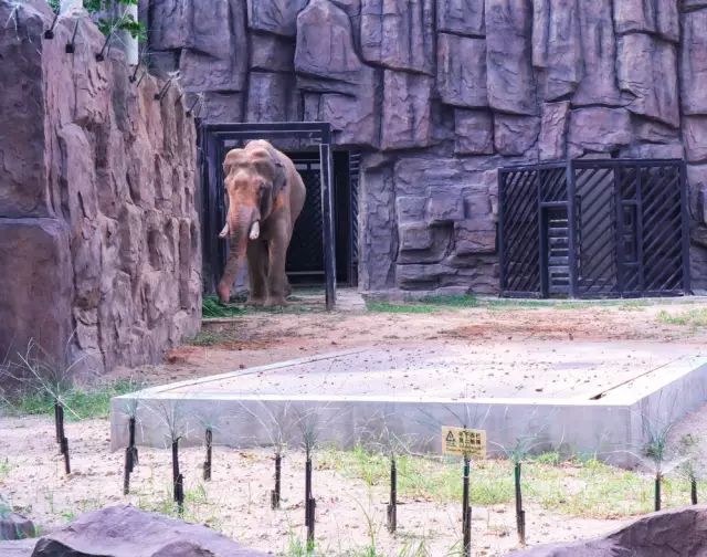 成都同根生,成都北门对比南门