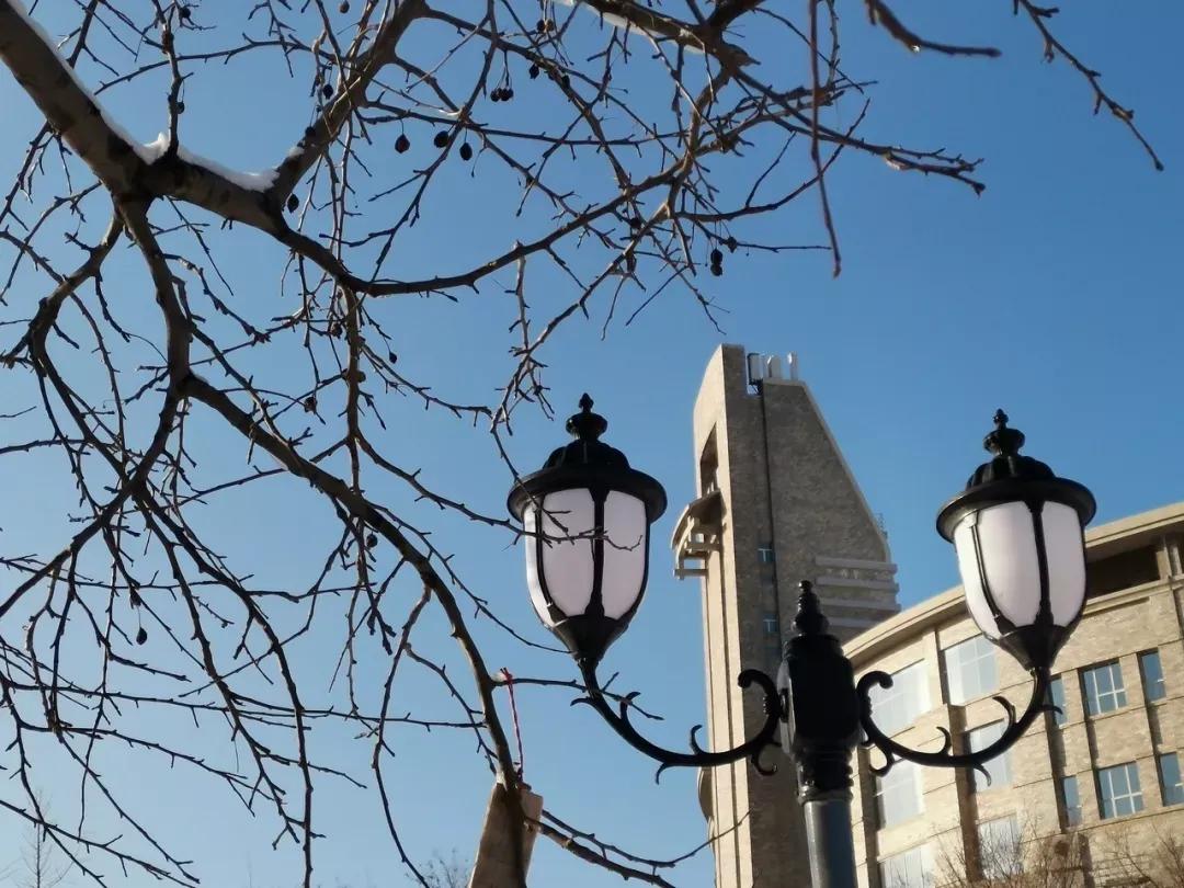 辽宁省民办大学（二）大连东软信息学院