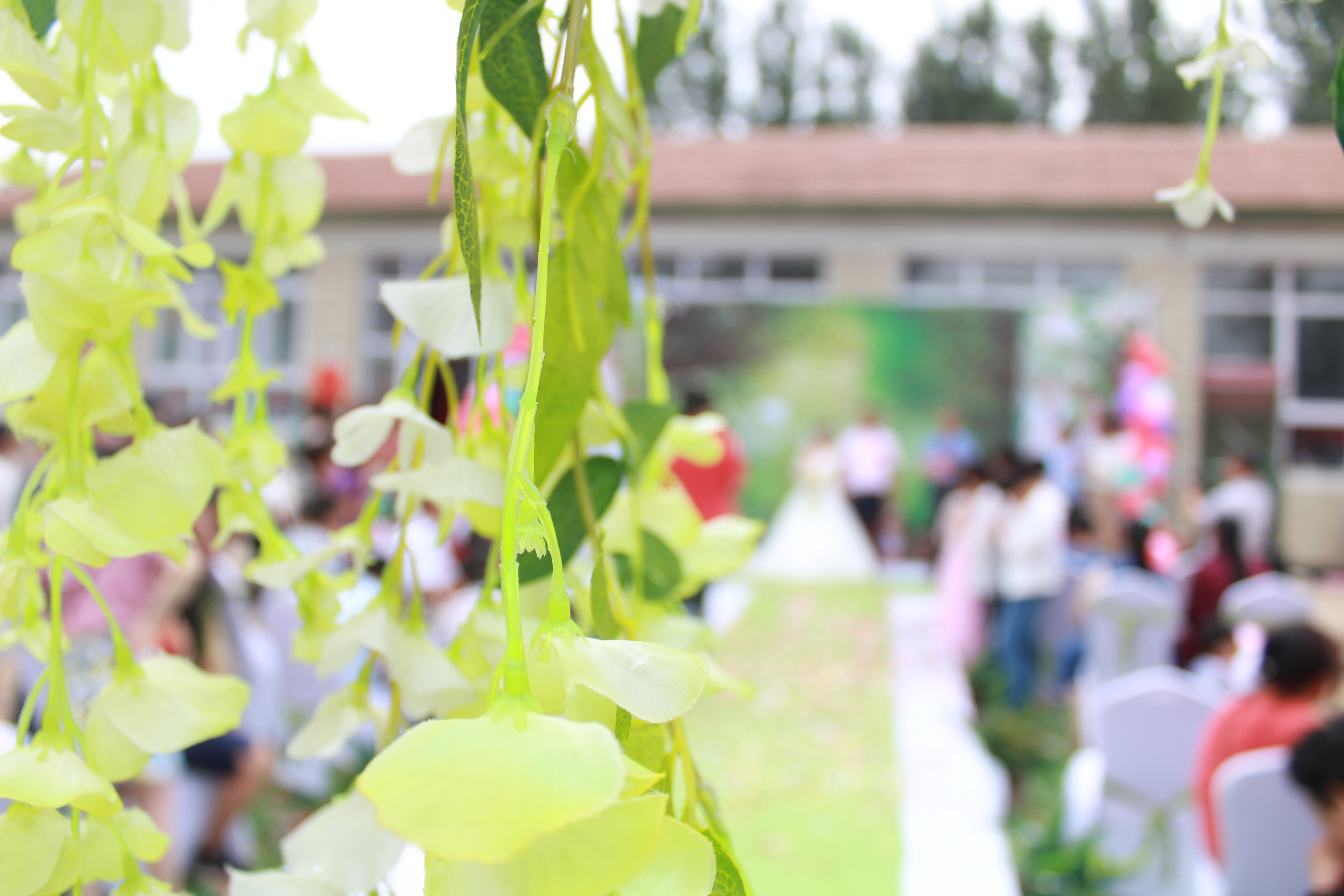 结婚纪念日送老婆什么鲜花,结婚纪念日创意图片