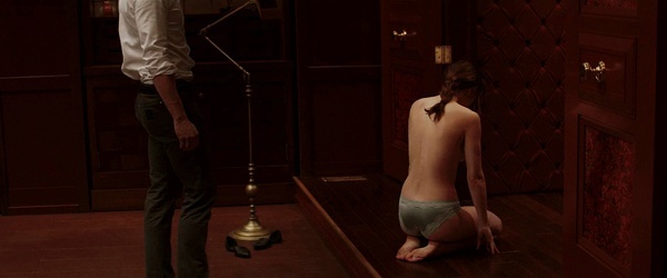 艺妓变成佣人，主人看上艺妓，倾倒于肉体，醉心于欲望