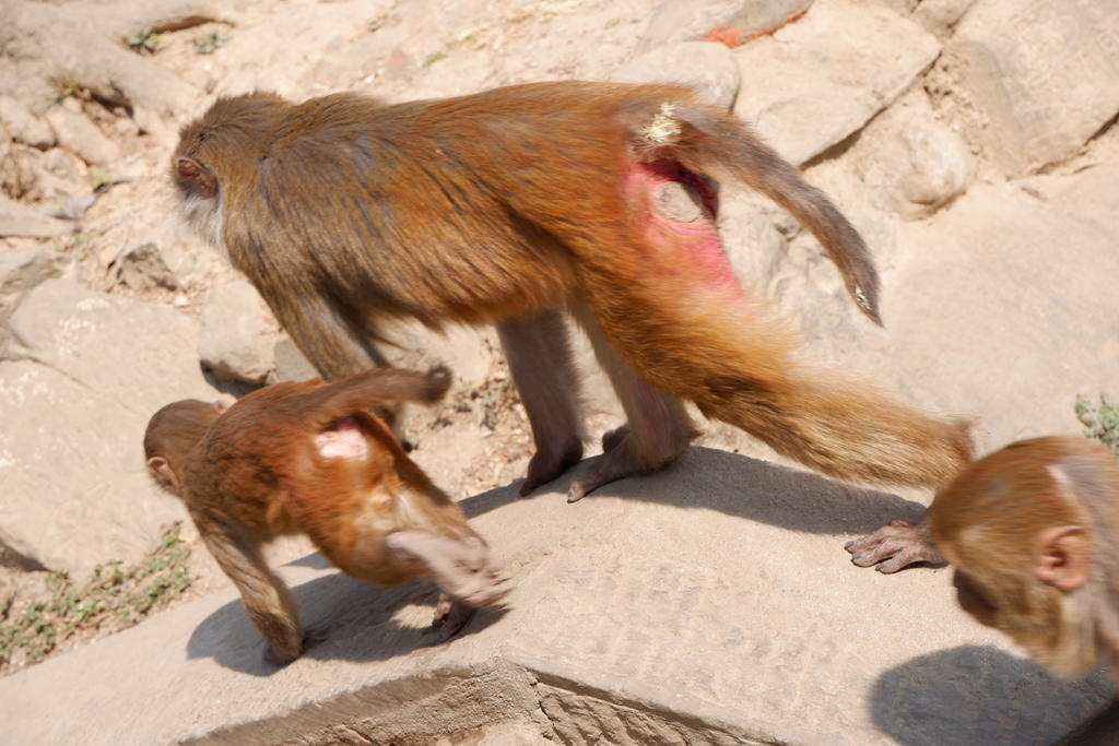 坐公交出国,坐公交可以环游中国么