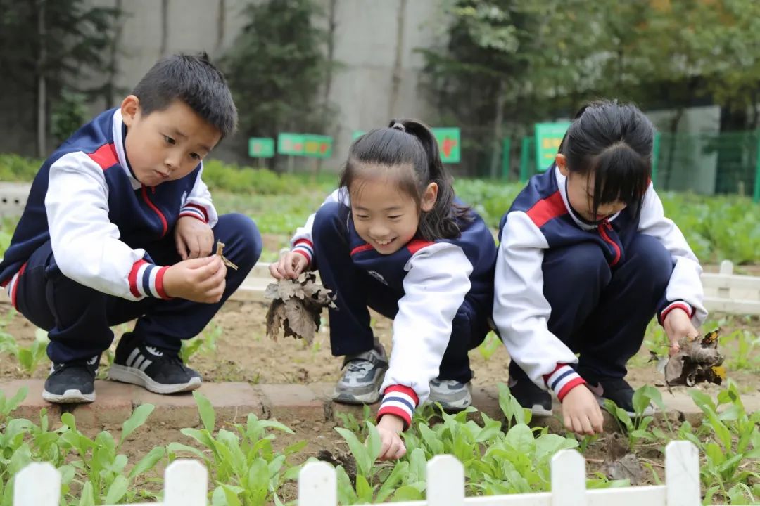 潍坊瀚声学校公开课,潍坊瀚声艺术节