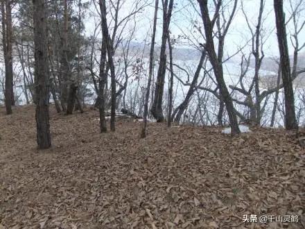 道士镜泊湖,镜泊湖道士山简介