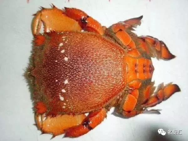 世界顶级十大海鲜,十大顶级海鲜价格排行榜