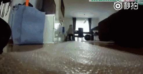 适合在家里玩的小游戏5岁到15岁,适合十个人玩的室内小游戏