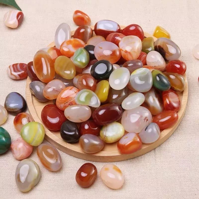 冬天屋内适合什么绿植加湿,冬天室内干燥怎么加湿植物