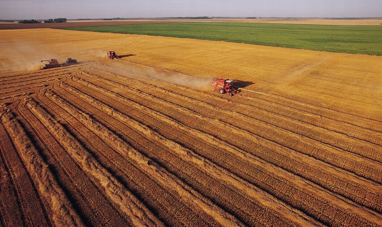 平凡是所有人的写真